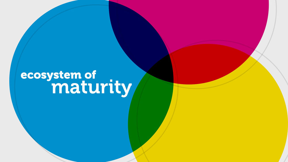 Ecosystem Of Maturity – Part 3 of 6